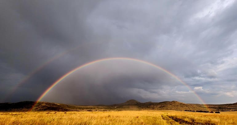 South Africa and a Black Death Dream Hunt
