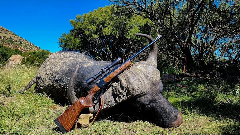 Three rounds, all within a hand span. The bull crashed a few body lengths from where we first met.