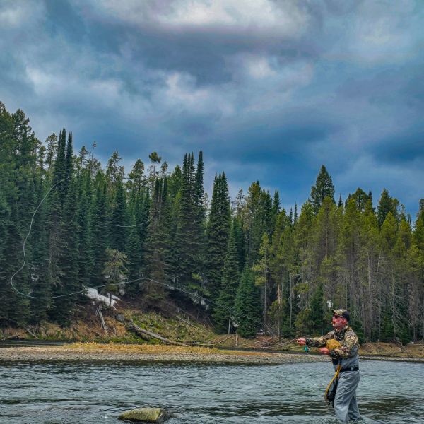 Fly fisherman casting on a river below a dense spruce treeline