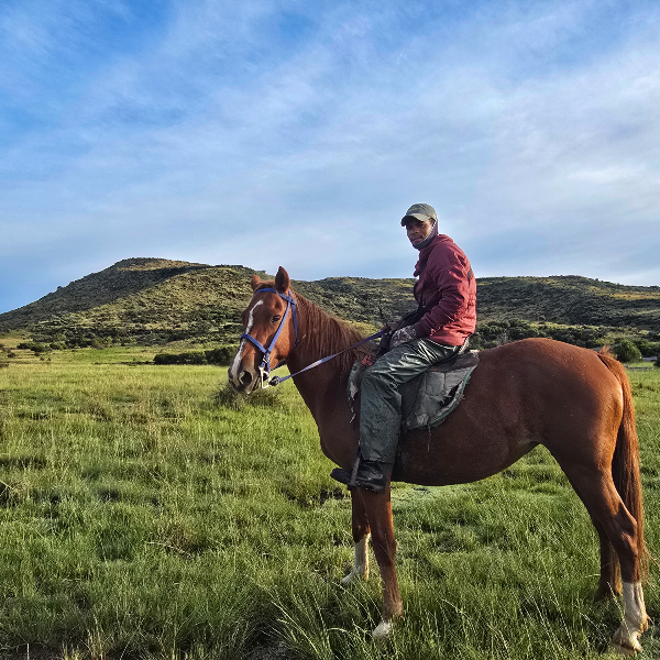 Man on horseback in green veld below a brushy hill