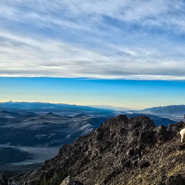 Mountain goat on a volcanic ridge above a valley of distant snow-dusted ranges