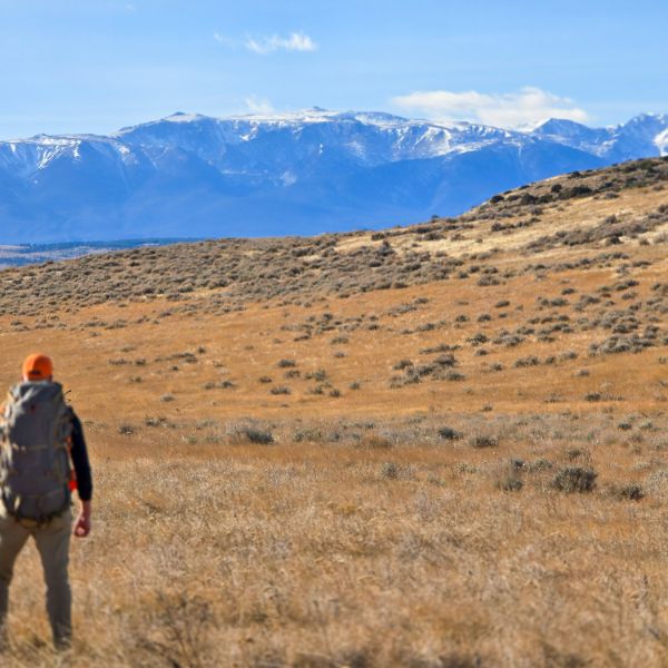 Hunter in blaze orange walking sage flats toward snow-covered peaks