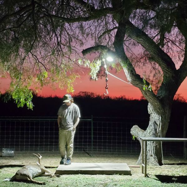Hunter standing beneath a mesquite at dusk with a whitetail buck on the ground