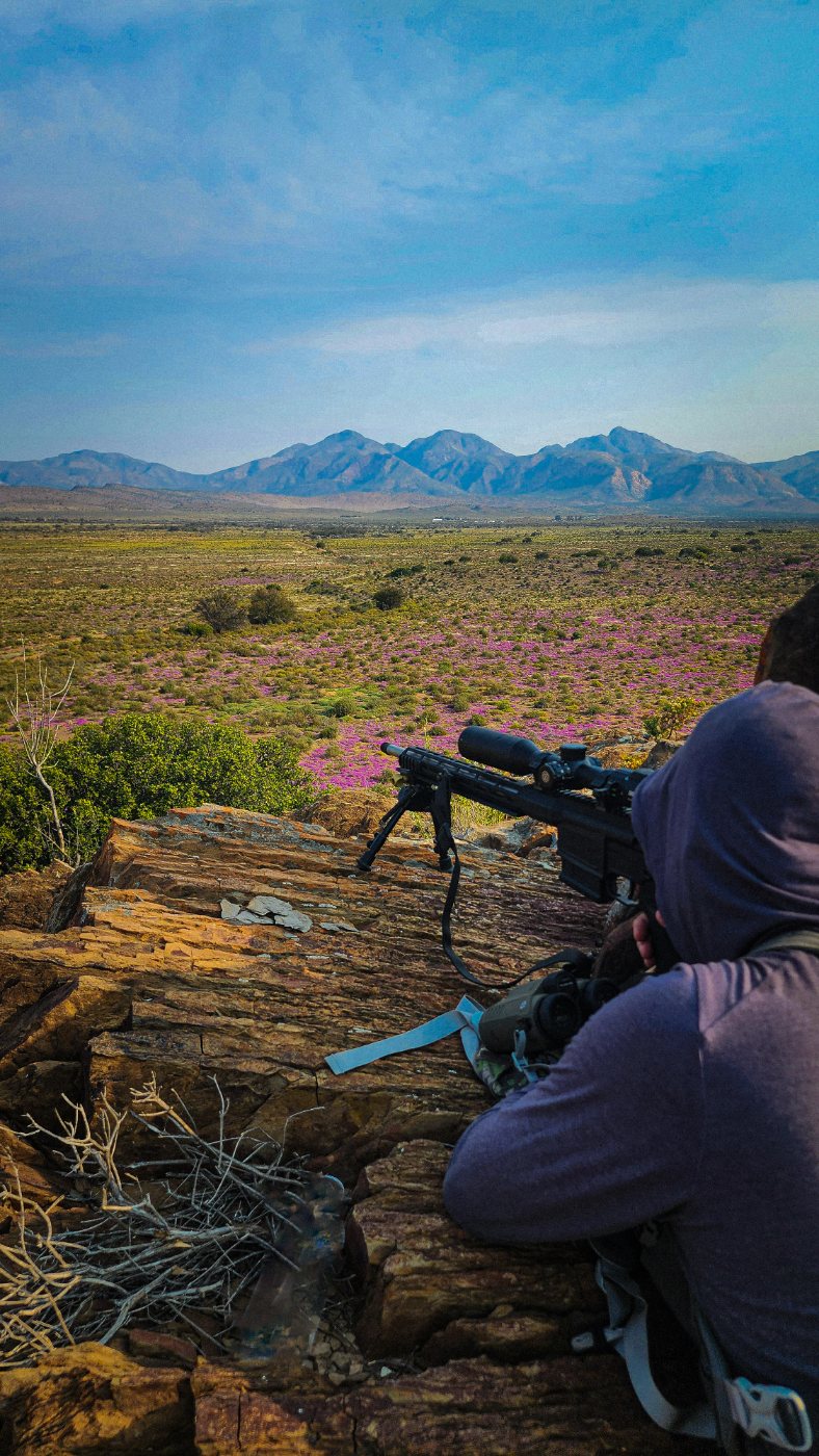 Succulent Karoo Springbok Slam With A Sig Sauer Cross — SIG Sauer Cross
